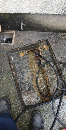 Drain Serve — Customer photo