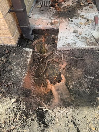Sureflow Drainage Solutions Limited — Customer photo